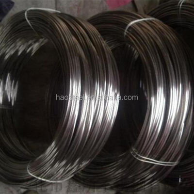 स्टेनलेस स्टील वायर 304 316 316L 316Ti 309s 310S सॉफ्ट ब्राइट मैट 0.05-20mm