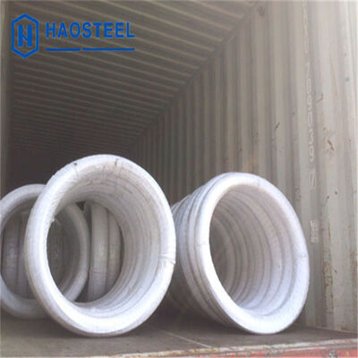 304 316L 410 0.07mm 0.13mm 1mm 2mm नरम EN/AISI स्टेनलेस स्टील तार
